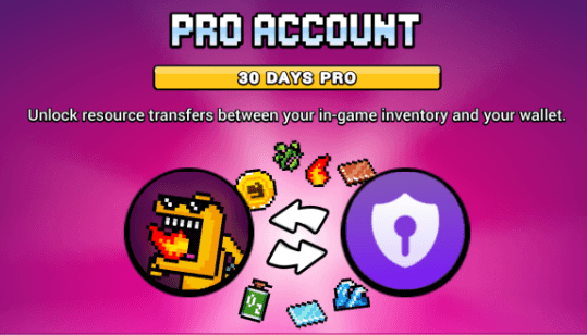 Pro Account in Craft World